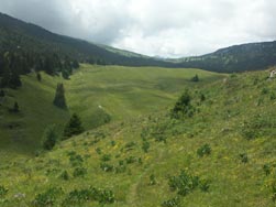 Plateau des Hauts de Chartreuse