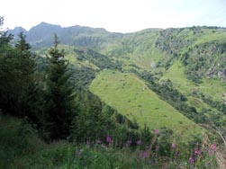 Dans la descente sur la piste forestière