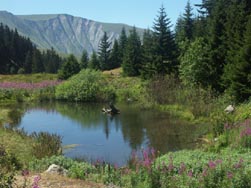 Le lac de Prévourey ; au fond, le Grand Serre