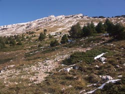 Vue vers le sommet de Chamechaude