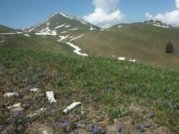 Vue vers le sommet de Charmant Som