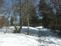 Chemin enneigé vers Montfromage