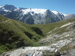 Alpages et massif de la Meije