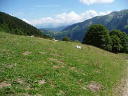 Le Cha ; Romme, dent de Barme, Mont Ruan (Sixt-fer à cheval)