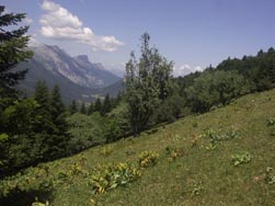 Crêtes du Vercors, depuis le Playnet