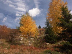 Couleurs d'automne
