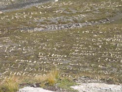 Inscriptions de pierres, au fond du replat d'Amont