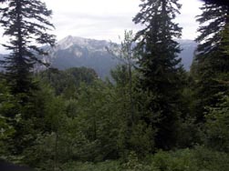 Montée vers le col de Frénay ; sortie de la forêt
