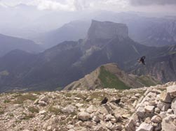 Sommet du Grand Veymont ; vue vers le Mont Aiguille