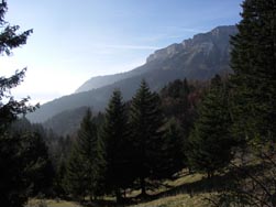 Chamechaude, vue depuis le bois de Saint Eynard