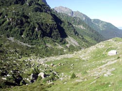 Habert d'Aiguebelle