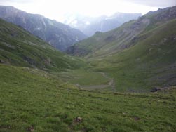 Alpages, aux environs de la cabane de Combe Guyon