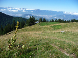 Refuge du pré du Molard