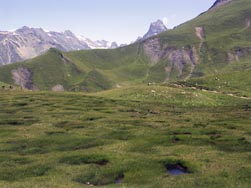 Marécage, au dessus du lac