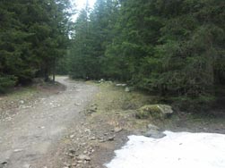 Piste vers les chalets de la Barrière