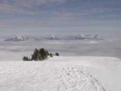 Sommets de Chartreuse