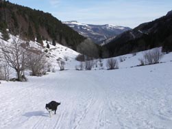 Vue vers les Barnets, depuis le gîte des Allières