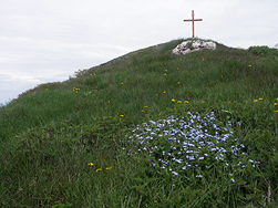 Sommet du Pinet