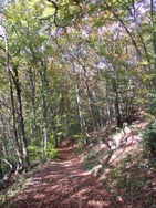 La vue n'est dégagée qu'à l'arrivée au fort !
