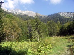 Vue vers la Sambuy, depuis le plan de la Tour