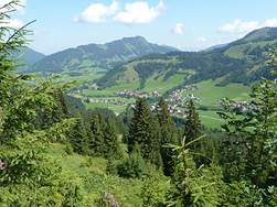 Montée vers Sennalpe ; vue vers Schattwald